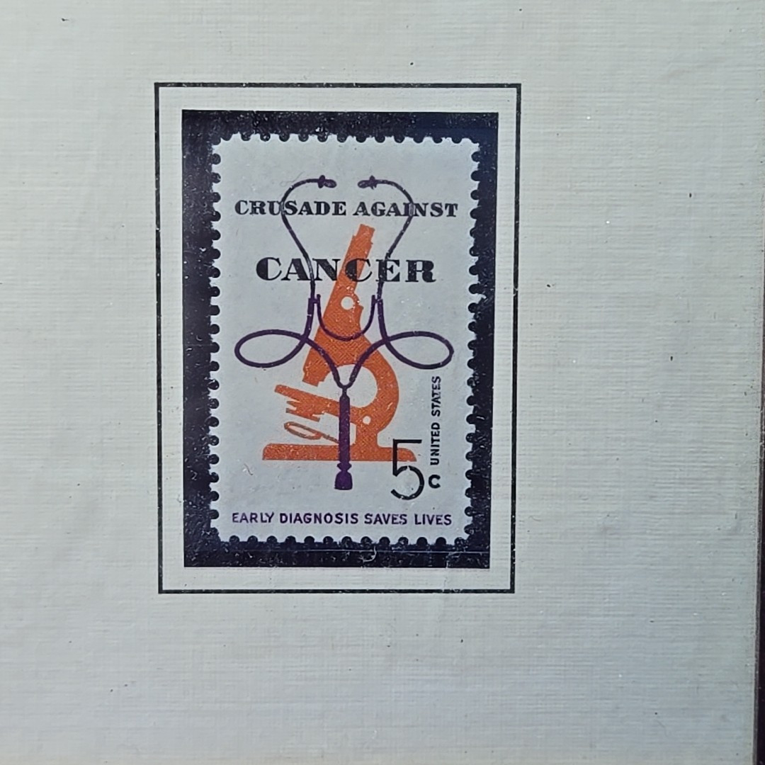 US Postal Service 1996 Breast Cancer Network Awareness Framed Wall Plaque