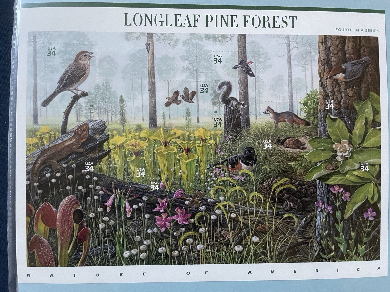 Complete Set of 12 NATURE OF AMERICA Sheets US Postage Stamps USA Sc 3293 – 4474