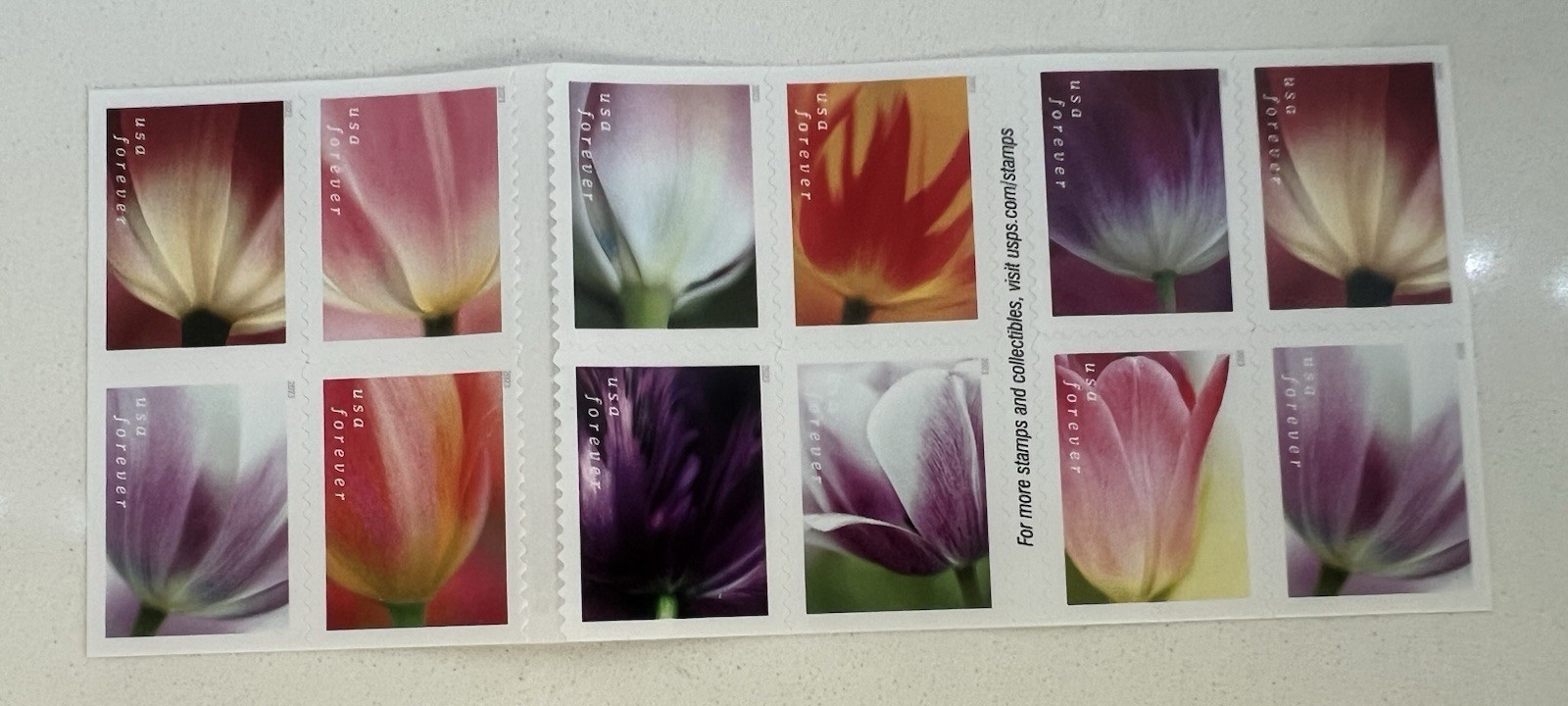 USPS 2023 Tulip Blossom Forever First Class Postage Stamps (20 Stamps)