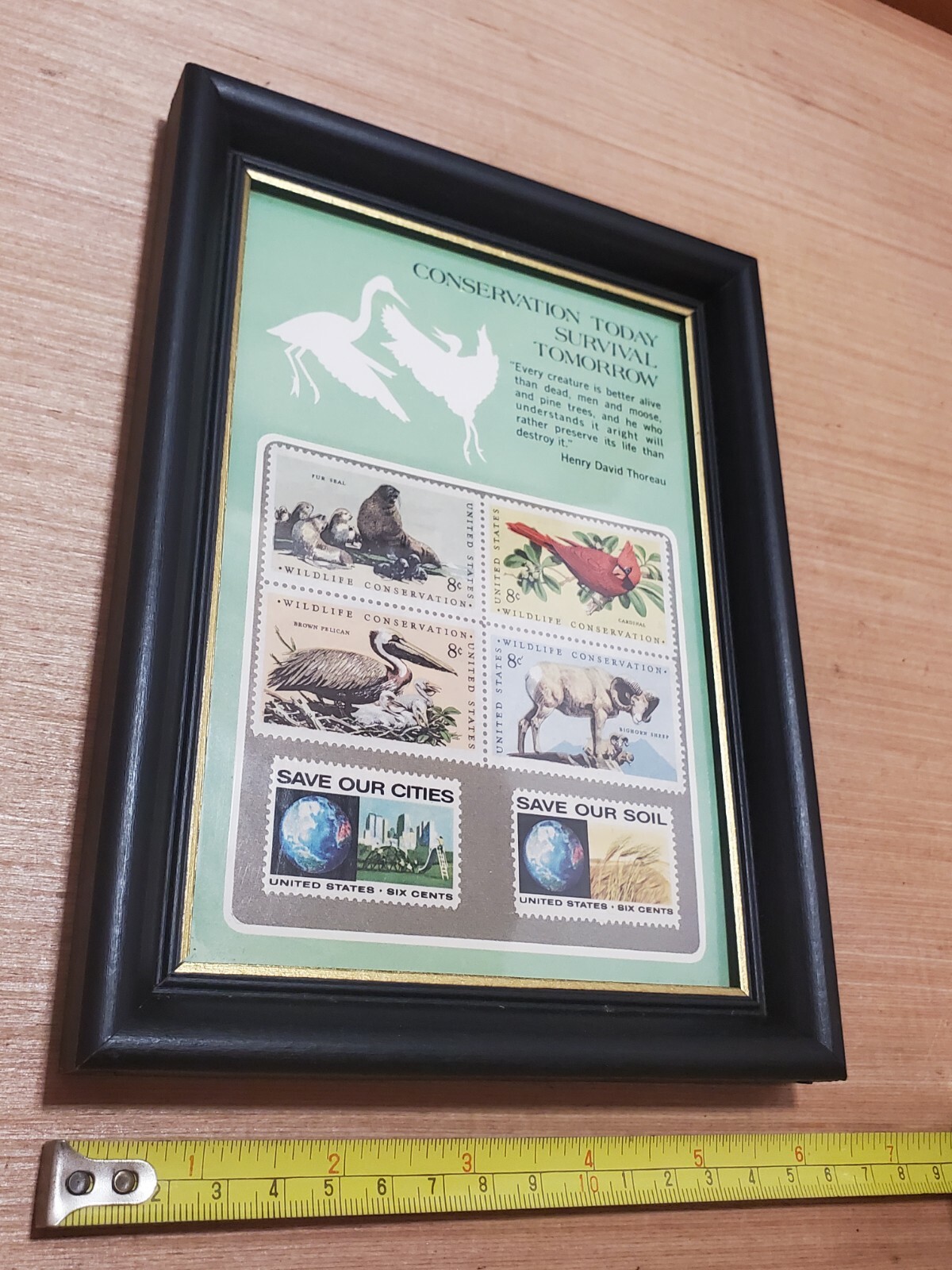 Conservation Stamps in Frame! sSx/Eight Cent Stamp Wildlife — Henry Thoreau