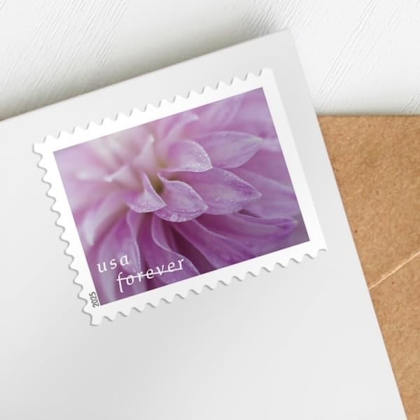 Dahlia Forever Postage Stamps – 2025 Edition, 2 Books of 20, First-Class Mail