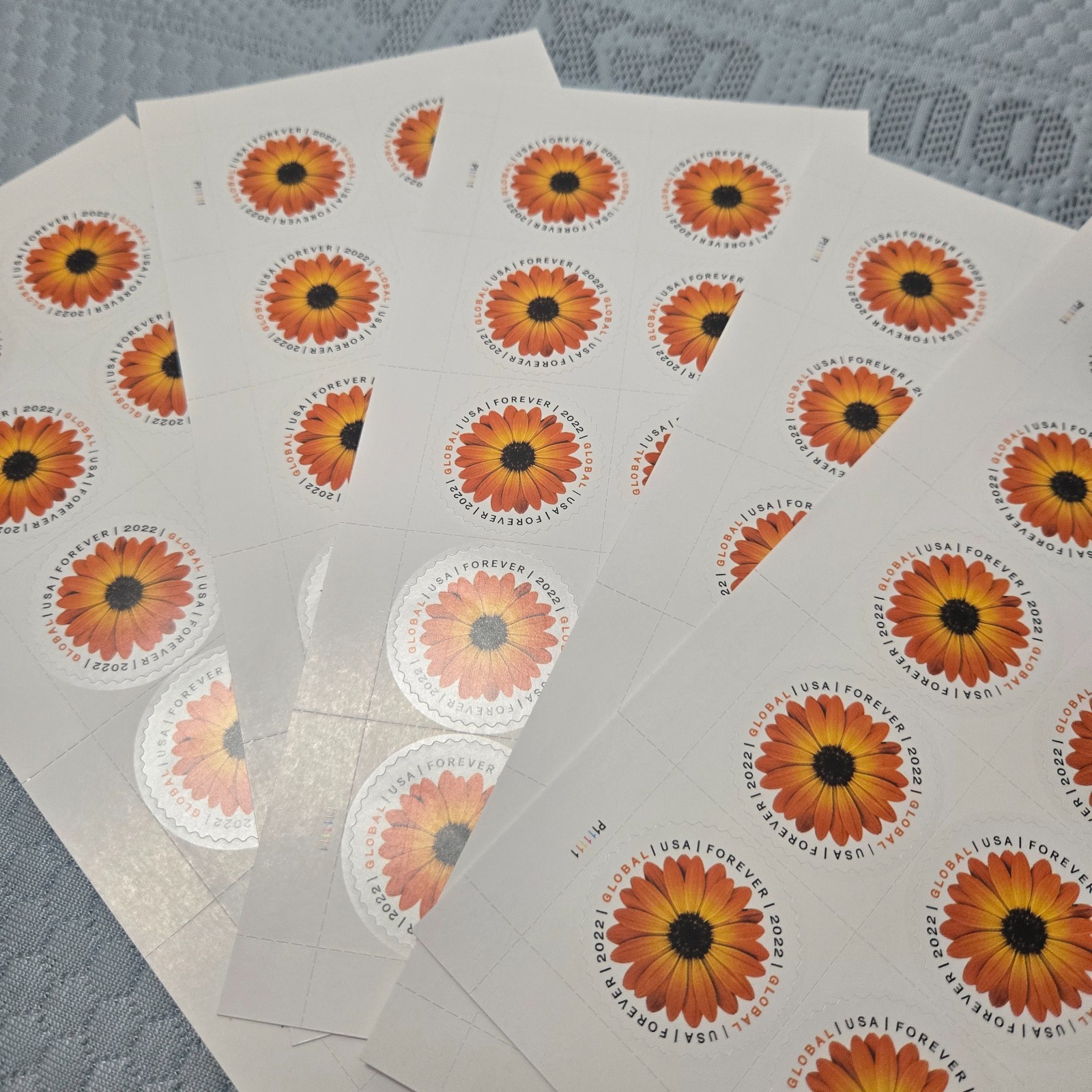USPS Global International Mail Forever Postage Stamps (5 Sheets = 50 Stamps)