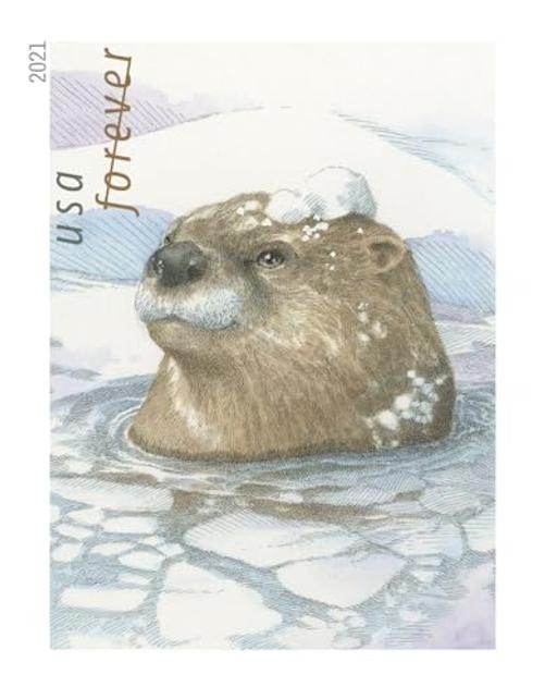 United States Postal Service Otters in Snow Postage Stamps (1 Booklet of 20