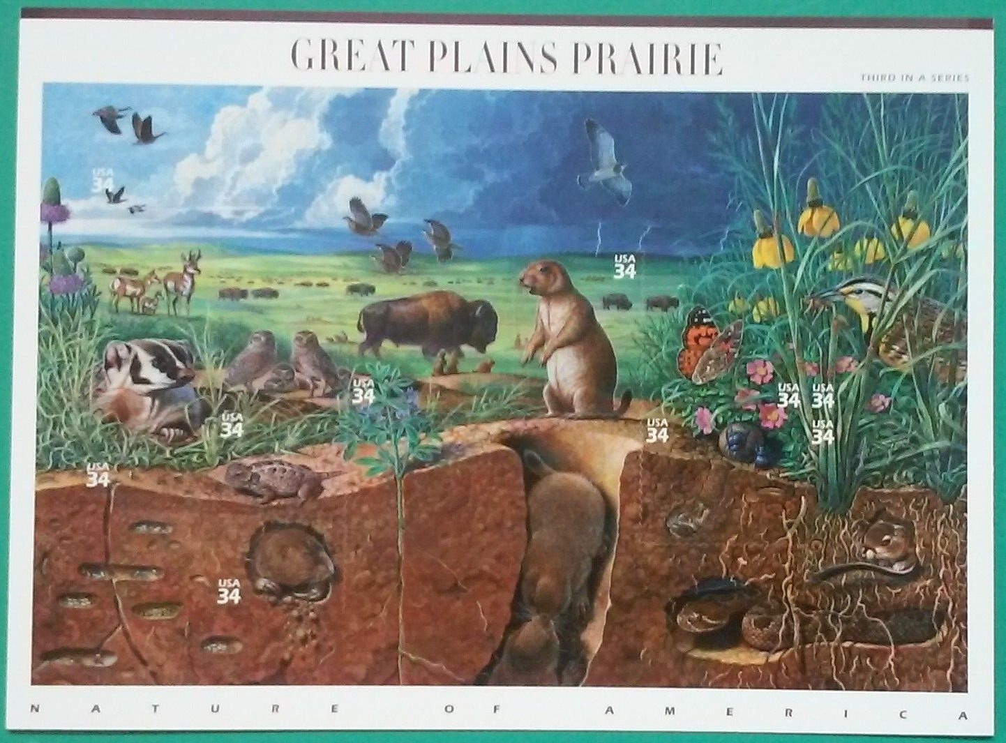 Complete Set of 12 NATURE OF AMERICA Sheets US Postage Stamps USA Sc 3293 – 4474