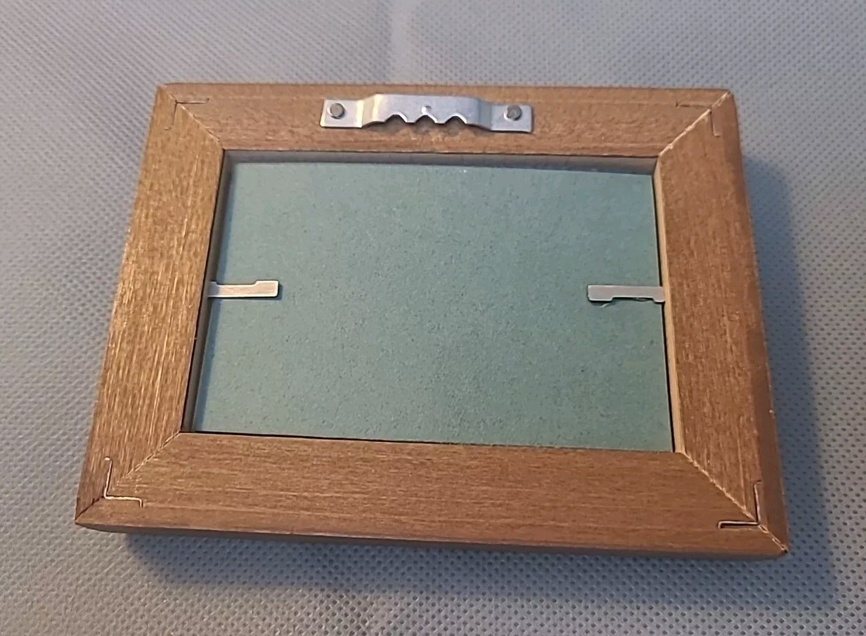 Siamese Cat, Exotic Shorthair Cat Stamp Framed Mounted 1987/88