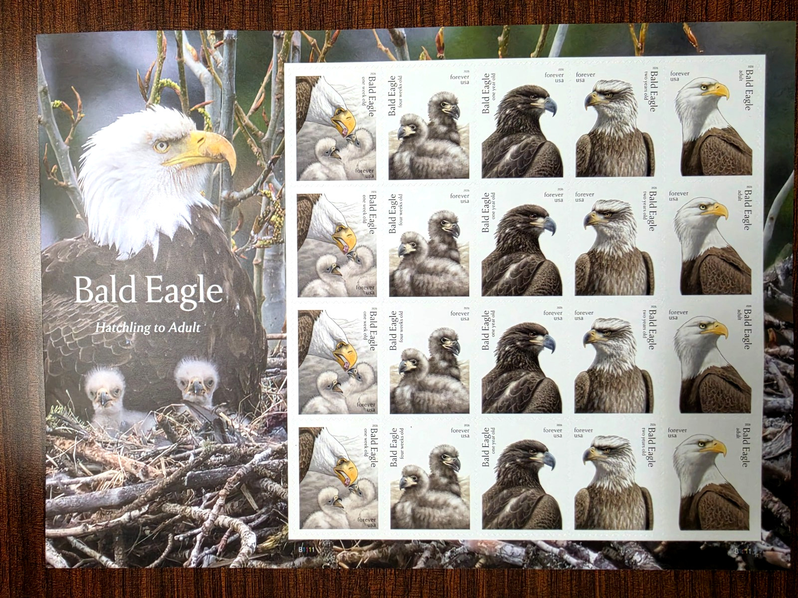USPS Bald Eagle Sheet of 20 Forever Stamps – MNH