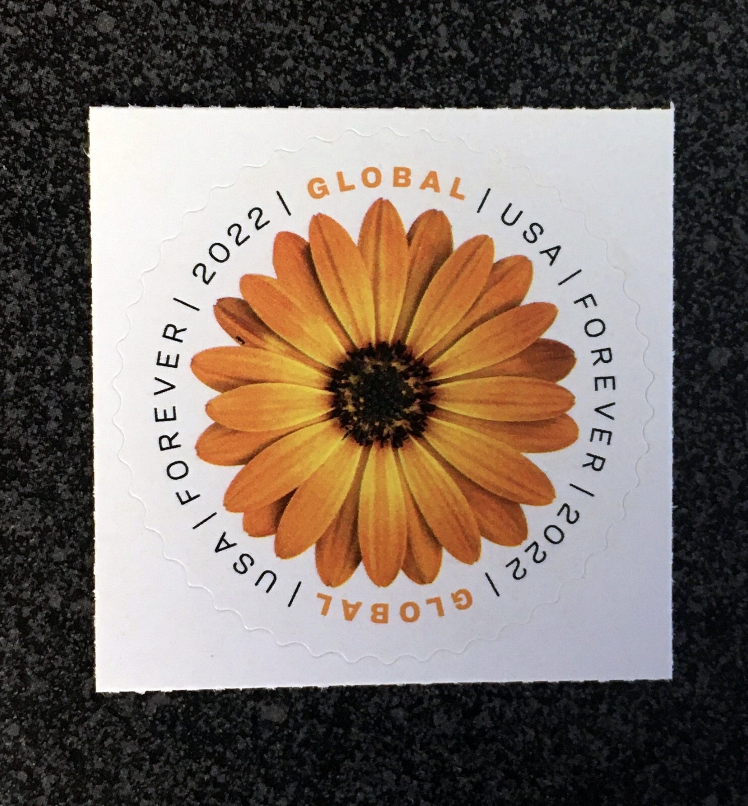 2022USA #5680 Global Forever Rate – African Daisy – Single Stamp Mint postage