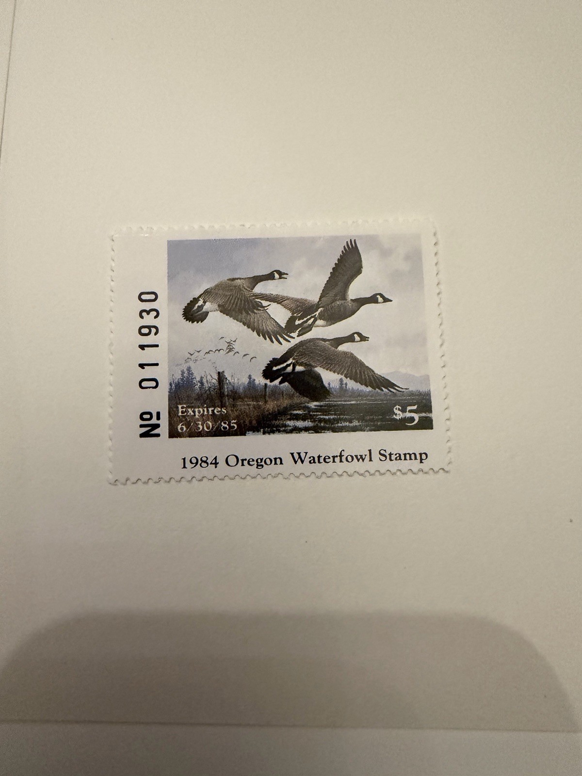 1984 Organ Waterfowl Stamp Print