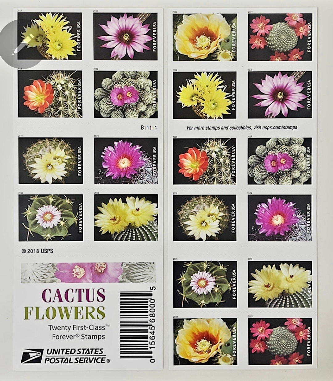 2019 USPS CACTUS FLOWERS BOOKLET OF 20 FIRST CLASS LETTER STAMPS 78 cents