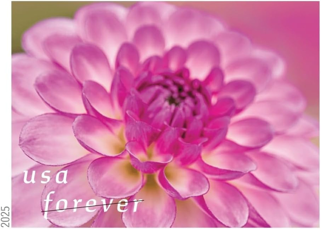 Dahlias 2025 (Book of 20) First-Class Mail Forever Postage Stamps