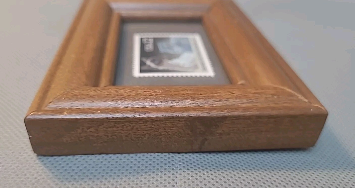 Siamese Cat, Exotic Shorthair Cat Stamp Framed Mounted 1987/88
