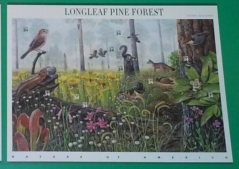 Five Sheets x 10 = 50 Nature of America: LONGLEAF PINE FOREST 34¢ US Stamps 3611