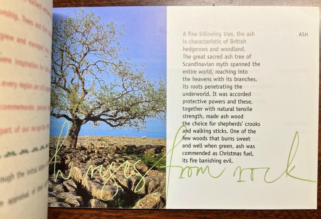 United Kingdom – “A Treasury of Trees” Stamp Booklet – Fine Condition