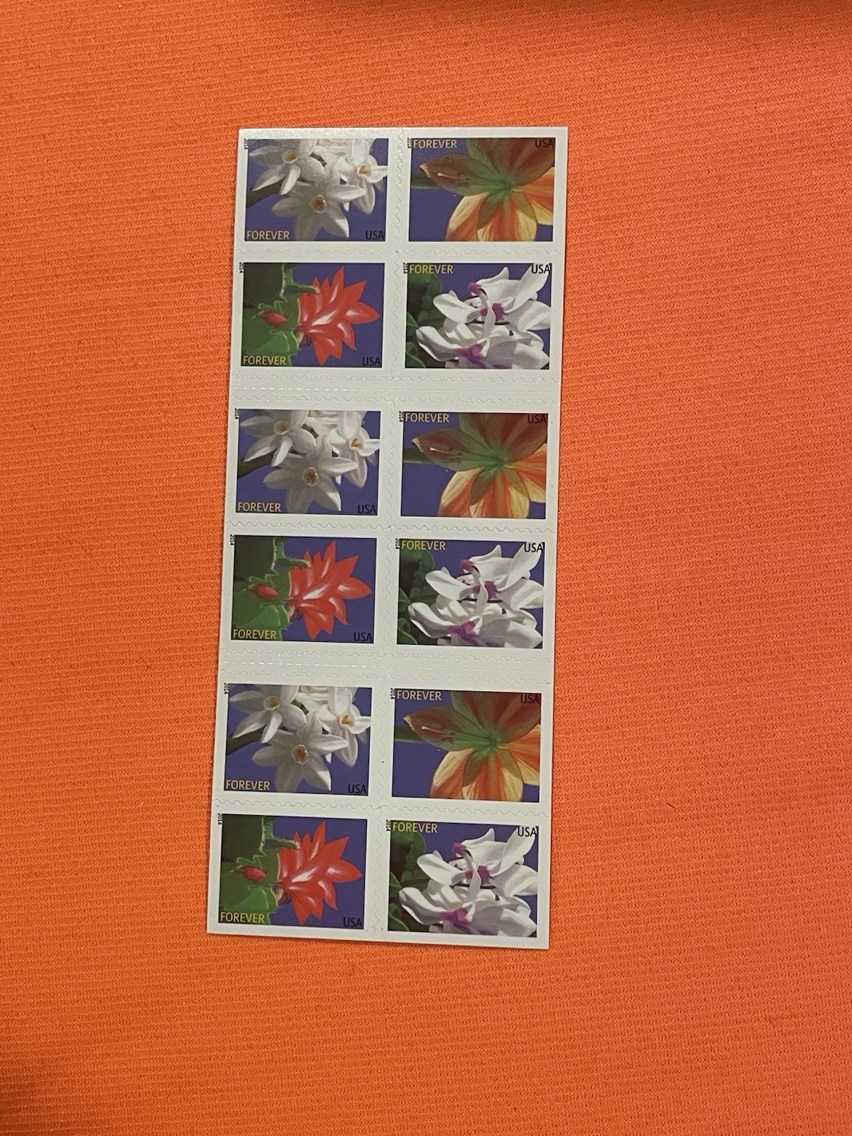 USPS Forever Stamps – Winter Flowers (2014) Single Stamp Random MNH