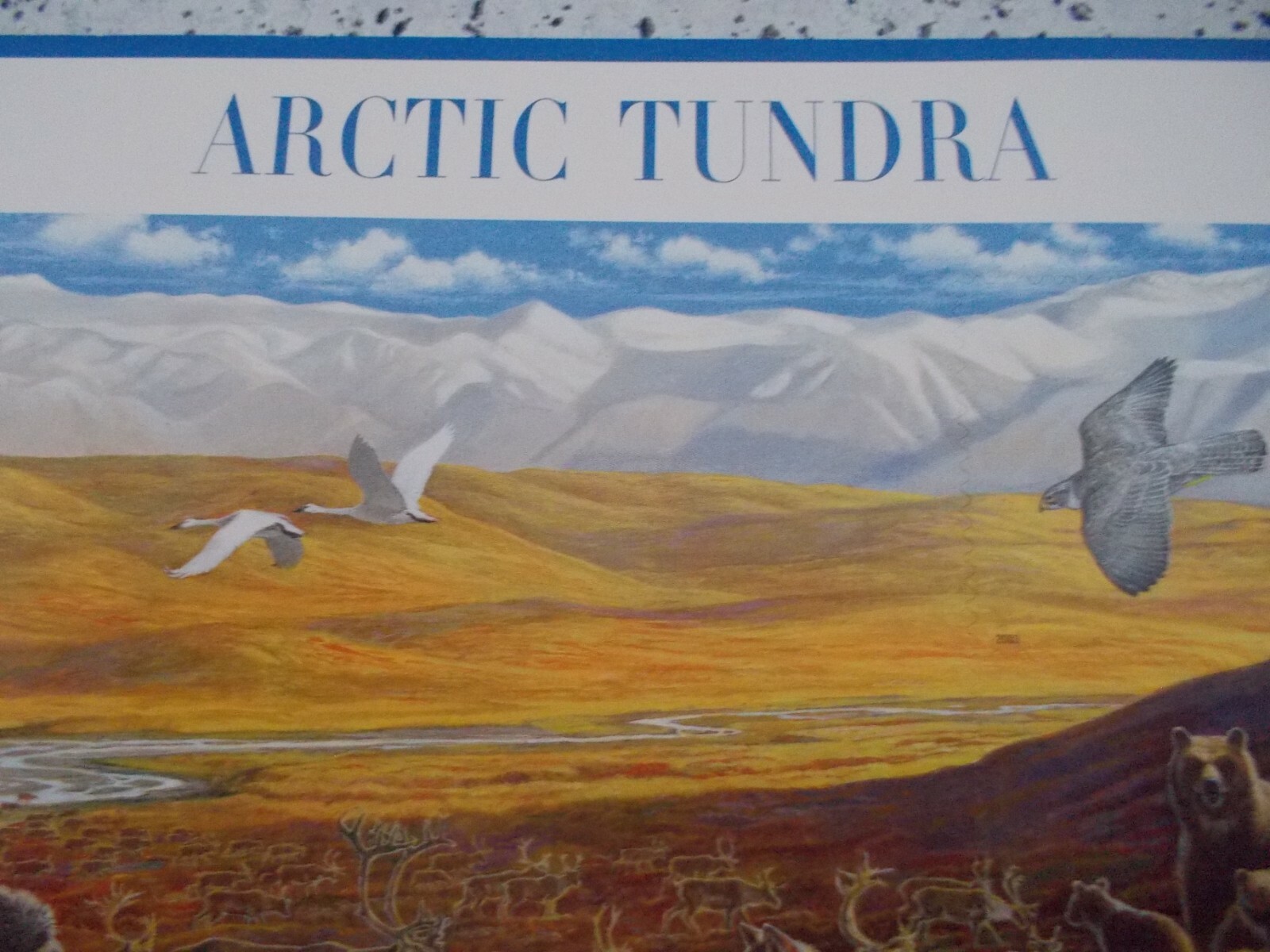#3802 ARTIC TUNDRA 5th in a Series Sheet of 24 37 CENT STAMPS 2002 MNH