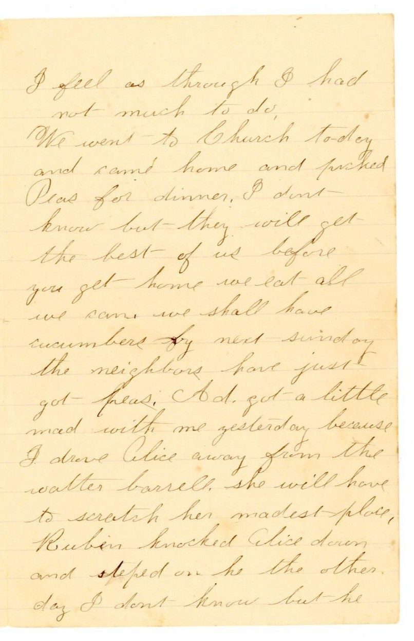 1891 Handwritten letter Red 2 cent Stamp Saco Goodwins Mills ME Ethel M Roberts