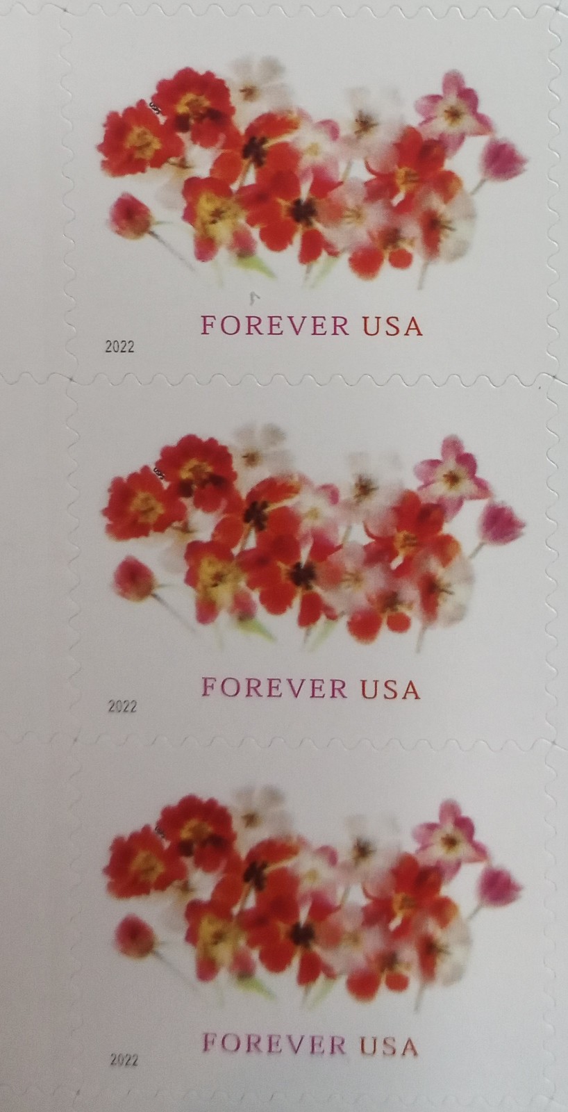 ON SALE NOW, 20 Tulips Forever First Class Forever Stamps Wedding Business Sheet