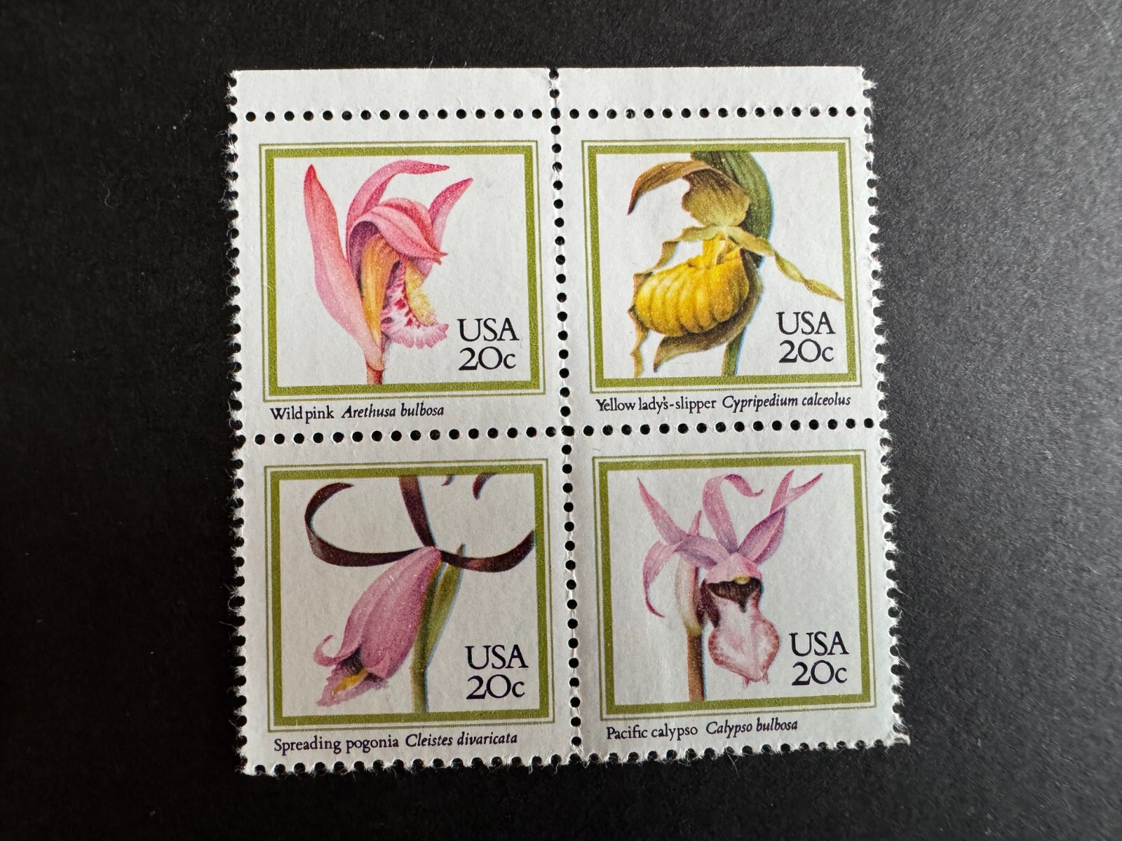 US New Mint Postage Lot Block Sheets