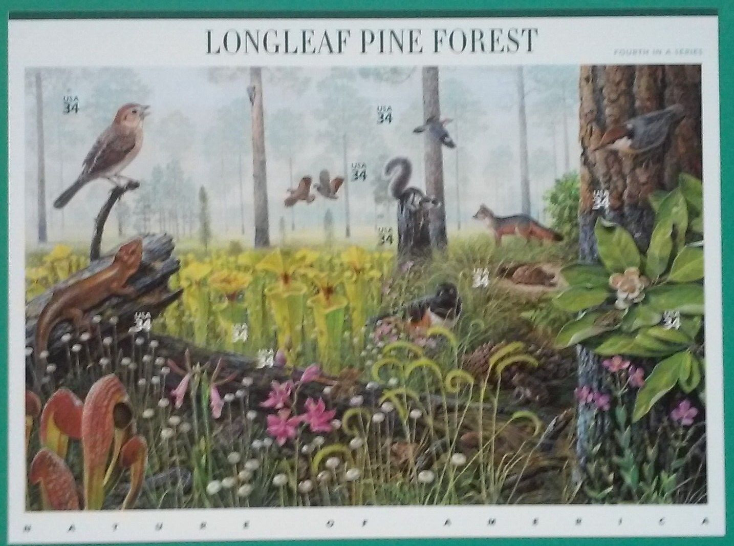 Complete Set of 12 NATURE OF AMERICA Sheets US Postage Stamps USA Sc 3293 – 4474