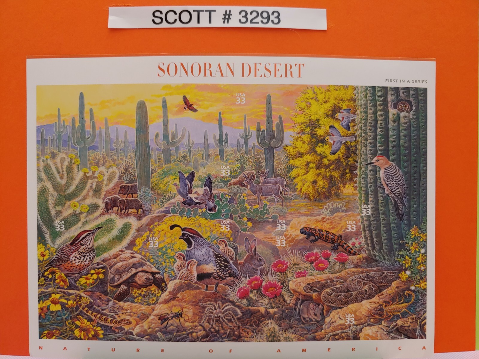 Complete Nature of America Series Stamps (12 Sheets) – USPS Postage Stamps