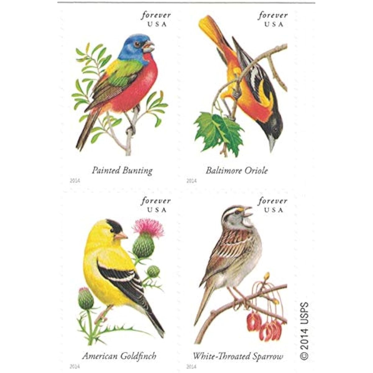 Songbirds Forever Stamps Sc#4891b MNH Full 5 Booklet Pane of 20 Mint ,100 total