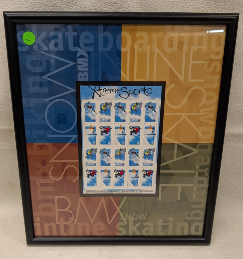 US Extreme Sports 33c Stamp Sheet 20 Stamps + Framed – RK052
