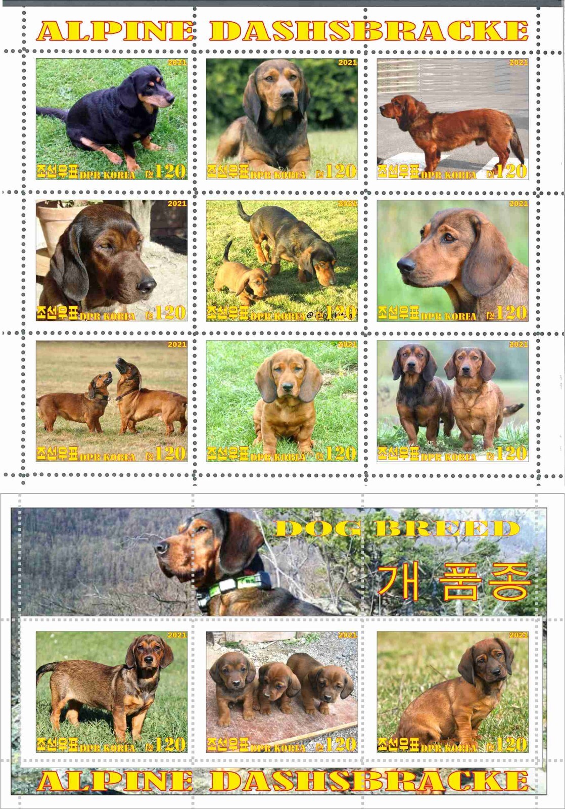 Stamp sheet+block Alpine Dashsbracke 2021 issue Dogs