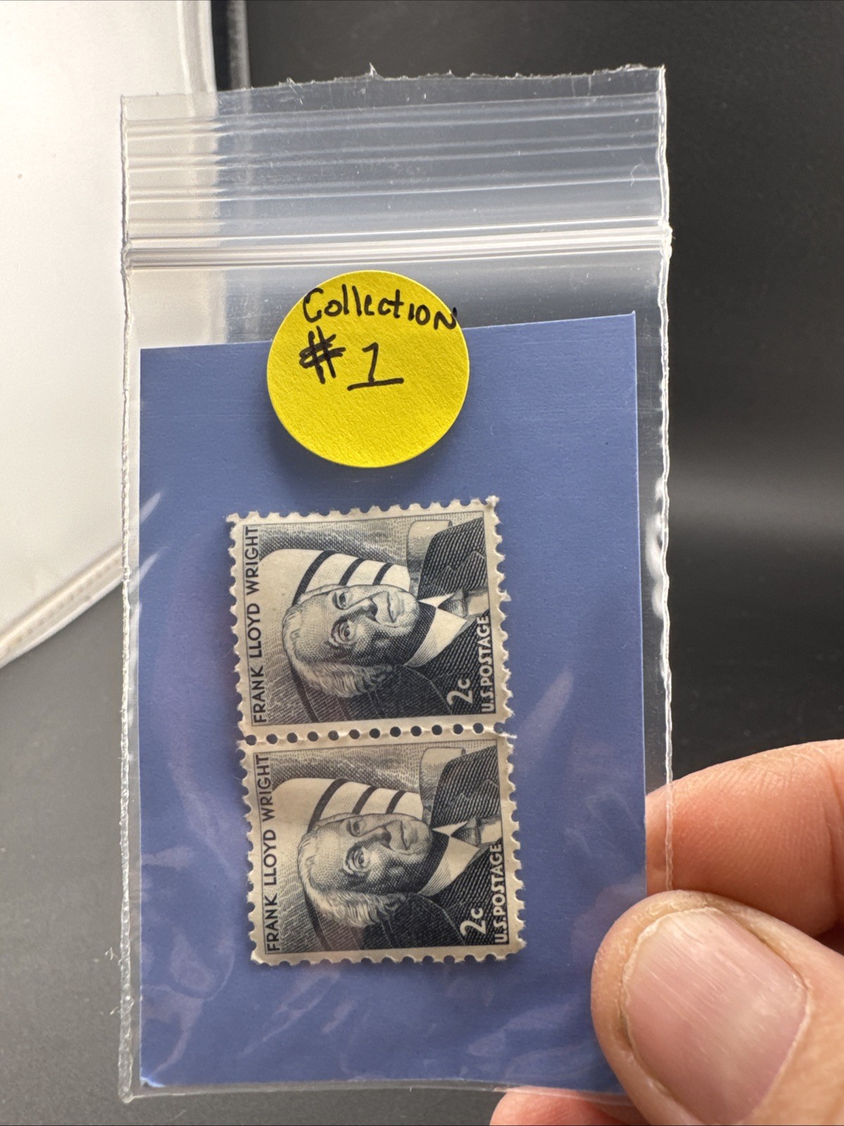 Rare 1966 Frank Lloyd Wright 2 Cent U.S. Postage Stamp – Mint / Unused Set Of 2